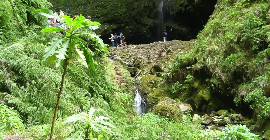 Levada Walk and Caldeirao Verde Waterfalls: Madeira - Queimadas Forestal Park start: torches, walking sticks, and early concentration