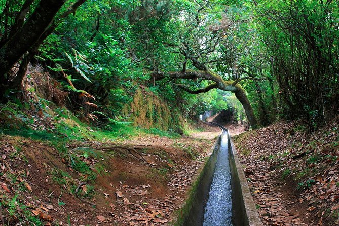 Levada Walk from Ribeiro Frio to Portela - Key things to know before you go