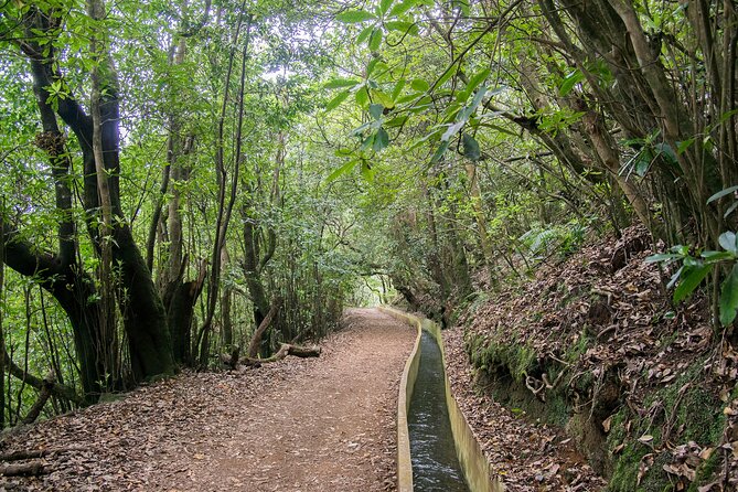 Levada Walk from Ribeiro Frio to Portela - The Madeira levada walk idea, in plain English
