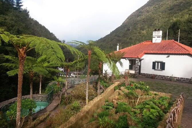 Levada Walk from Ribeiro Frio to Portela - Following the levada: light, shade, and trout near your feet