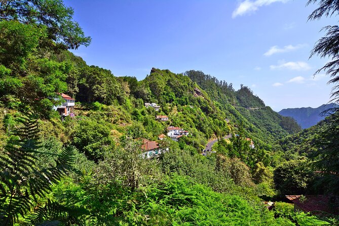 Levada Walk from Ribeiro Frio to Portela - Who this tour suits best