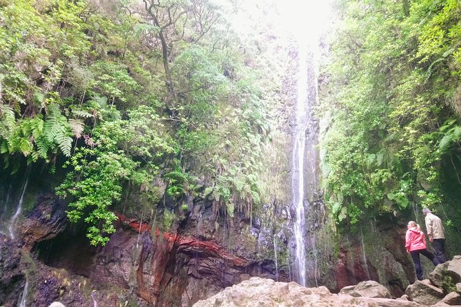 Levada & Waterfalls Hike 25 Fountains, Rabaçal, Risco more Challenging Walk - Stop 2: Levada do Alecrim, Hiking Through the Green (with an Included Ticket)