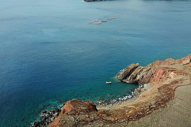 Lighthouse View 2 - Boat Tour Ponta São Lourenço - Wildlife and Plants: Birds, Lizards, Endemic Snails, and a Rare Seal Chance