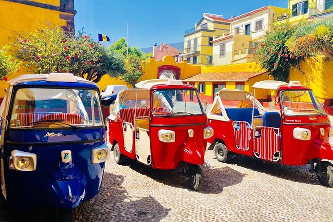 Lobos Chamber - Fisherman Village by tuk tuk - Price and value: does $36.05 make sense for Madeira?