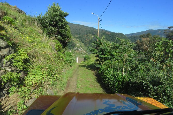 Local Farmers Market and 4WD Experience from Funchal - Santo da Serra farmers market: the taste-and-look stop