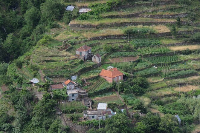 Local Farmers Market and 4WD Experience from Funchal - Santo da Serra plateau and the quick geography lesson