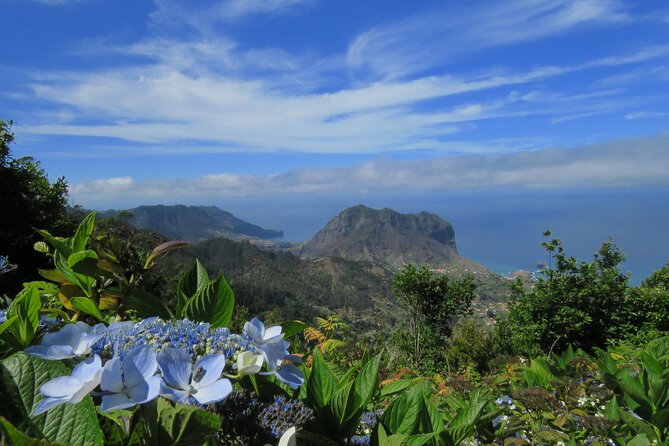 Local Farmers Market and 4WD Experience from Funchal - Price and logistics: what to budget beyond the $60