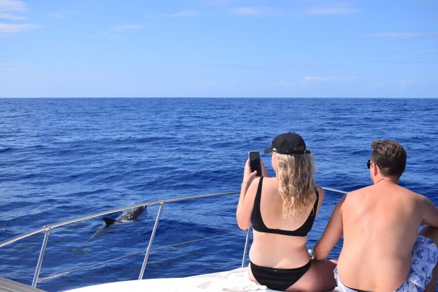Madeira: 2.5-Hour Whale and Dolphin-Watching Cruise - Guides, drinks, and the little perks that make it feel special
