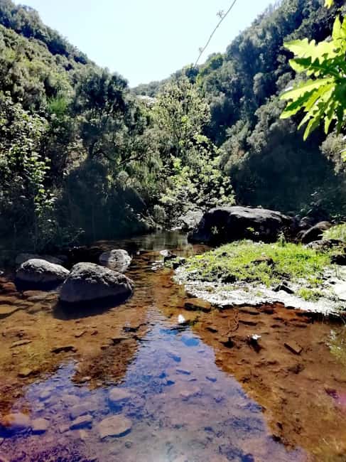 Madeira: 25 Fountains Rabaçal Forest Walk - The man-made tunnel finish: why it’s memorable (and risky for some)