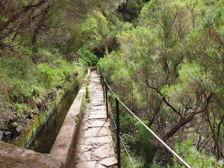 Madeira: 25 Fountains Rabaçal Forest Walk - Descending into Madeira’s UNESCO Laurisilva laurel forest