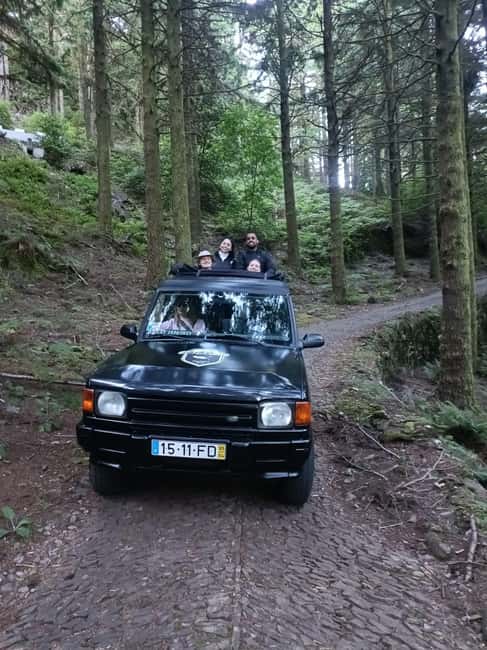 Madeira: 4WD Tour & Skywalk to Seixal, Porto Moniz & Fanal - Fanal forest and the Witch Tree: where the 4WD moment turns quiet