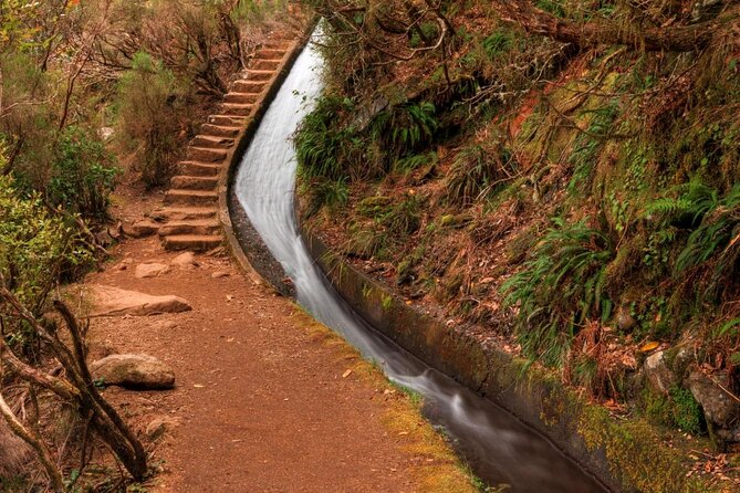 Madeira 4x4 Jeep Safari : Porto Moniz, Lava Pools & Fanal Forest - Pickup, Timing, and How to Plan Your Day