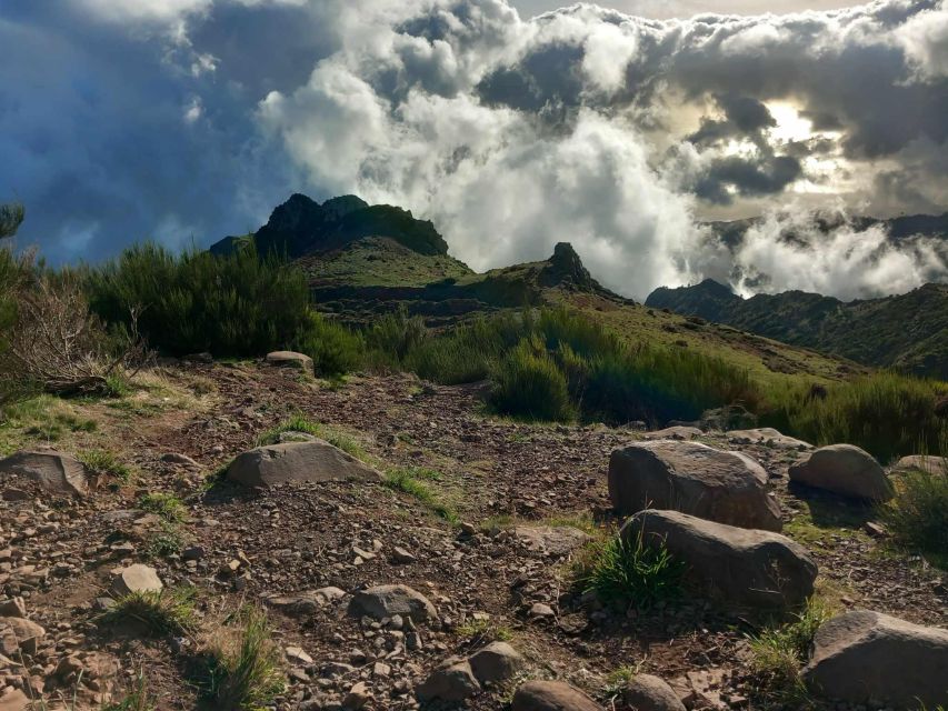 Madeira 4x4 Jeep Safari: Porto Moniz, Lava Pools & Fanal - Pickup Points and Timing: Where the Day Starts