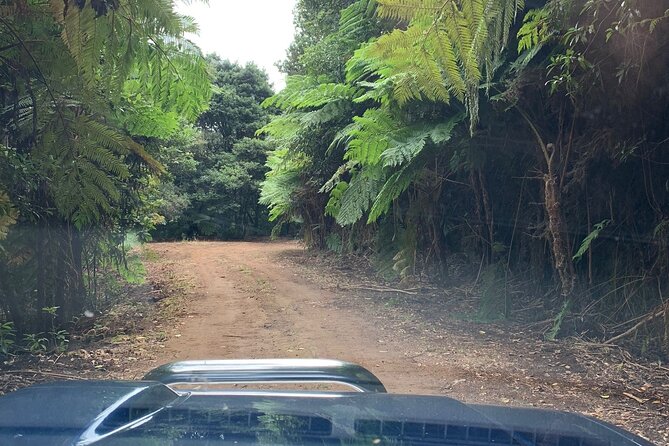 Madeira 4x4 Jeep Tour : Pico Arieiro & Santana Traditional Houses - Ribeiro Frio coffee stop: use it to reset, not to hurry