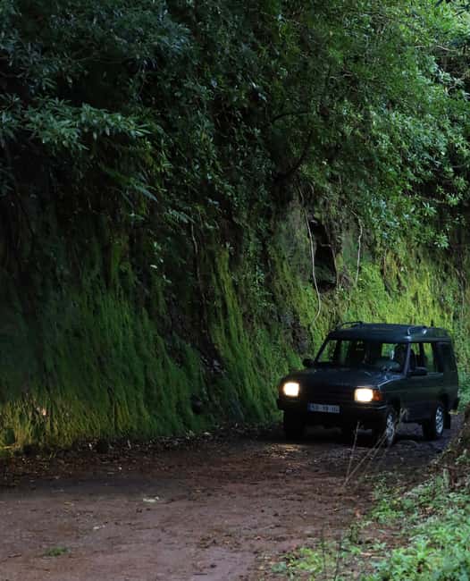 Madeira Adrenaline 4x4 Tour: Zipline, Giant Swing and Seixal - Should you book this Madeira Adrenaline 4x4 tour?