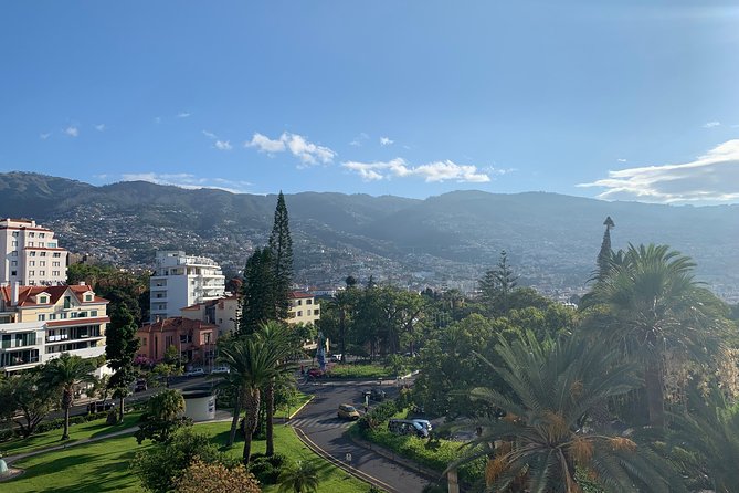 Madeira Airport Round Trip Shuttle Transfers Service - Who this Madeira shuttle suits best