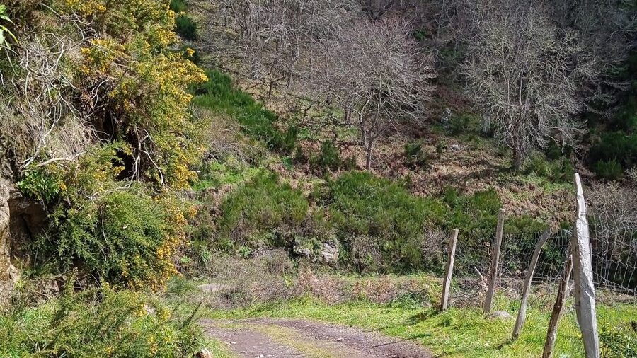Madeira all day jeep nature tours. - Why a Madeira jeep day feels different from the highway