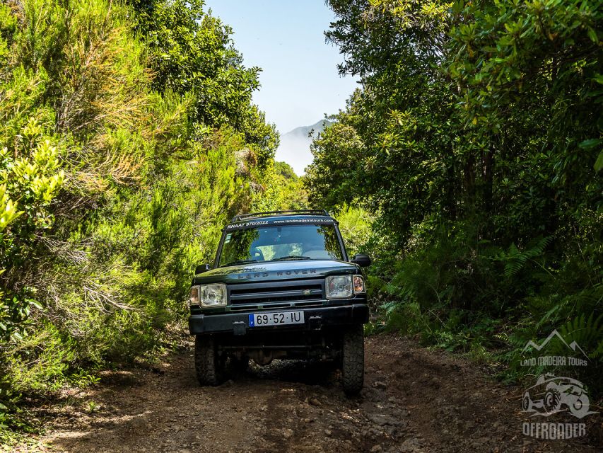 Madeira all day jeep nature tours. - Who this tour suits best (and who should skip it)