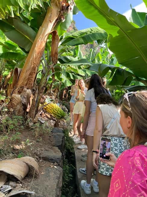 Madeira: Banana Plantation Guided Tour with Tasting - Ponta do Sol Start: Meeting Point and the Drive Into Plantation Country