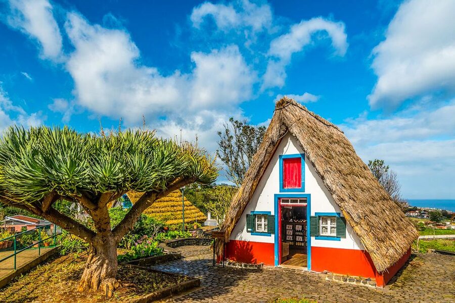 Madeira: Best of the East Tour from Funchal - Key Highlights You’ll Actually Feel in Your Day