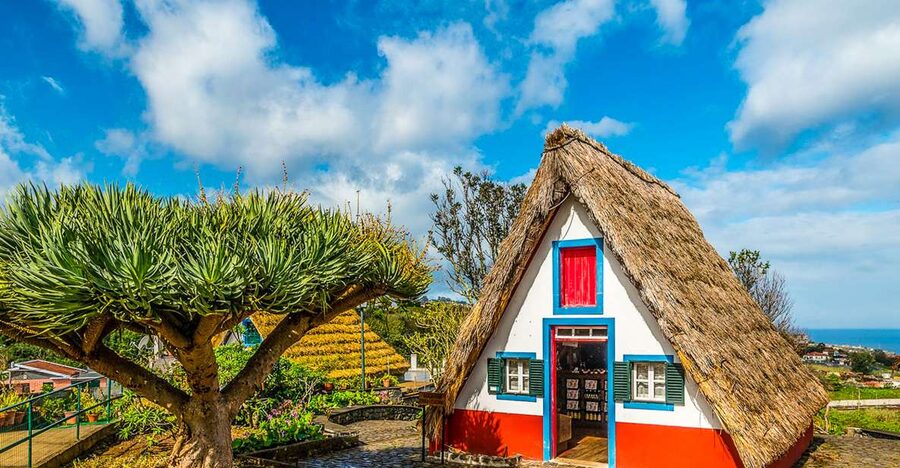Madeira: Best of the East Tour from Funchal - Why Madeira’s East Tour Loop Works So Well from Funchal
