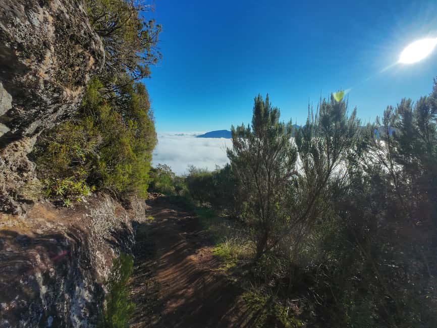 Madeira: Bica da Cana to Encumeada Guided Hike with Pickup - Key Things I’d Focus On