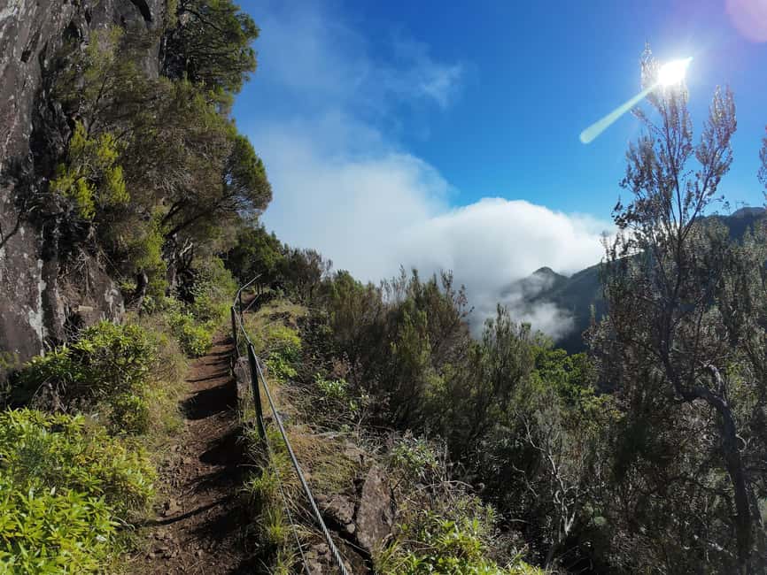 Madeira: Bica da Cana to Encumeada Guided Hike with Pickup - Entering the UNESCO Laurisilva Forest on a Real Mountain Walk