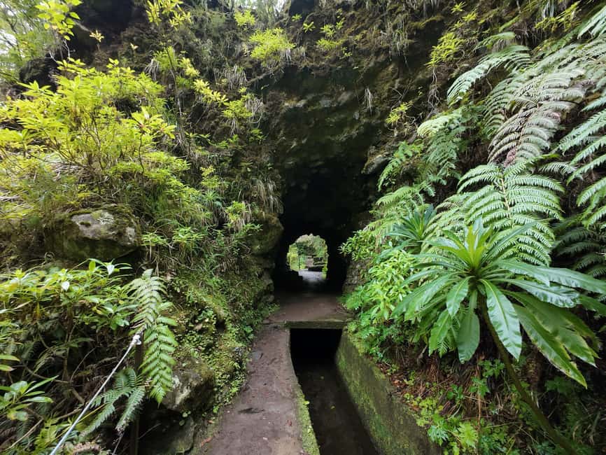 Madeira: Bica da Cana to Encumeada Guided Hike with Pickup - Levada do Norte: When the Flat Walk Lets the Waterfalls Do the Talking