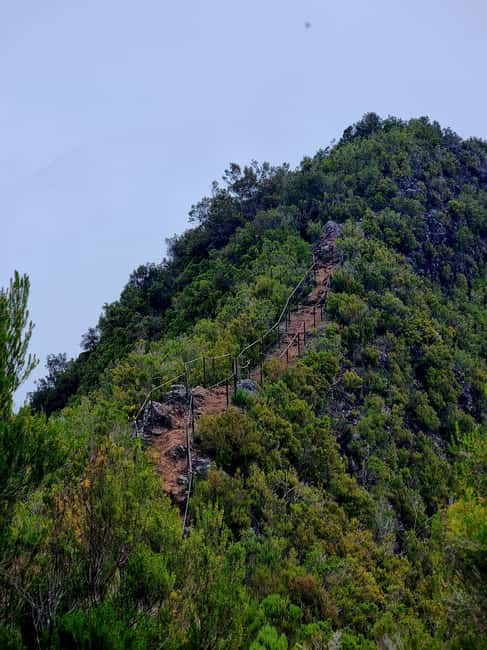 Madeira: Bica da Cana to Encumeada Guided Hike with Pickup - Encumeada Café Break: The View at the End is Part of the Point