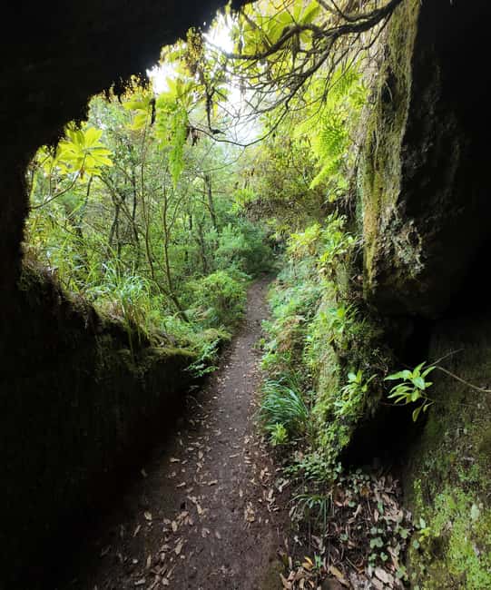 Madeira: Bica da Cana to Encumeada Guided Hike with Pickup - What to Pack (and What People Forget on Madeira Hikes)