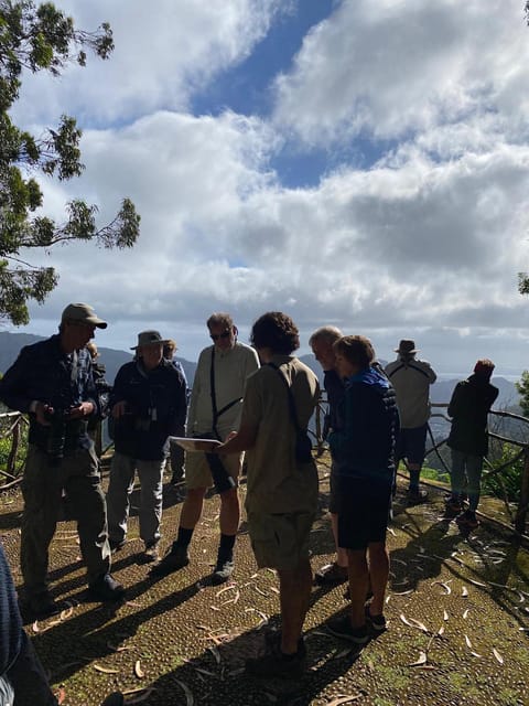 Madeira: Birdwatching - The Endemics - Other land sites and observation points: why the route works