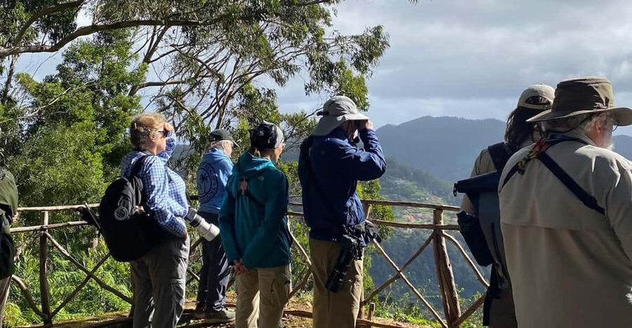 Madeira: Birdwatching - The Endemics - Where pickup and drop-off fit (Funchal and Caniço)