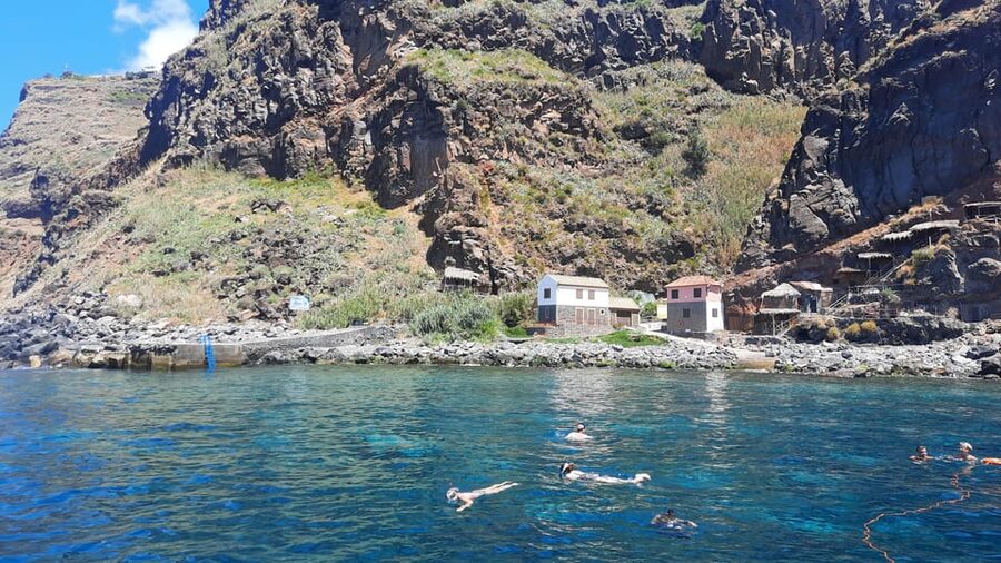 Madeira: Boat Trip with Lunch, Drinks, and Hotel Transfer - Dolphin Chances and Whale Sightings: Madeira’s Wildlife from Close By
