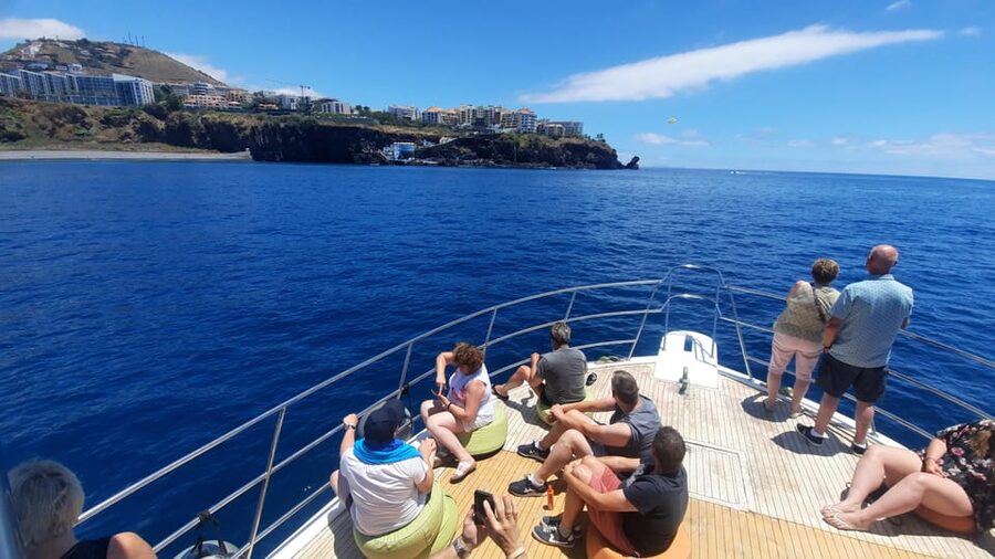 Madeira: Boat Trip with Lunch, Drinks, and Hotel Transfer - The Swim and Snorkeling Stop: Clear Water, Simple Gear, Real Fun