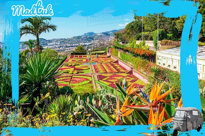 Madeira Botanical Gardens and Old Town Tuk Tuk Tour by MadTuk - Key highlights at a glance