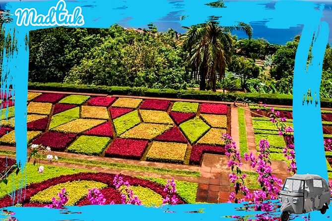 Madeira Botanical Gardens and Old Town Tuk Tuk Tour by MadTuk - The road-to-garden views over Funchal are the quiet star