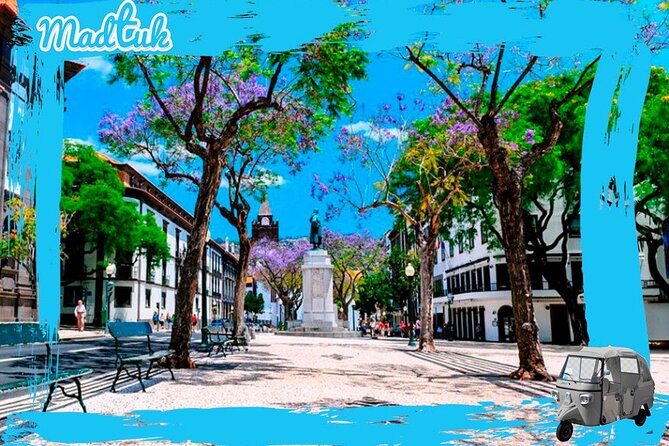 Madeira Botanical Gardens and Old Town Tuk Tuk Tour by MadTuk - Price and value: $45.66 makes sense if you want the garden