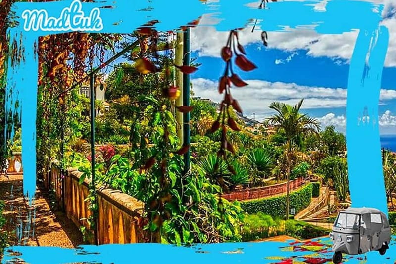 Madeira: Botanical Gardens + Old Town Tuk-Tuk Tour by MadTuk - Key takeaways before you go