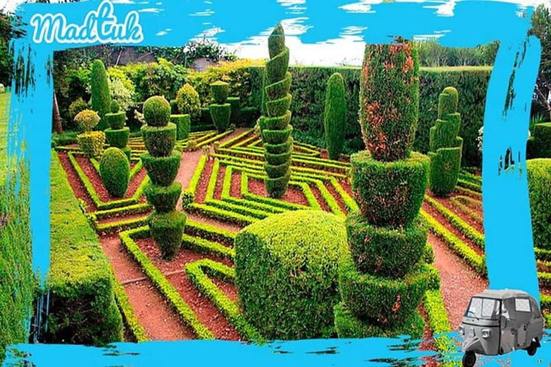 Madeira: Botanical Gardens + Old Town Tuk-Tuk Tour by MadTuk - Why this MadTuk loop works in Funchal