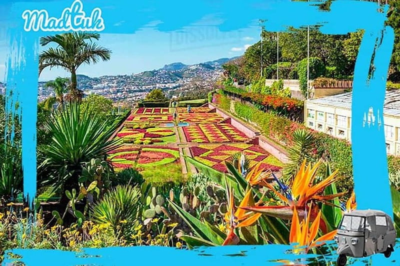 Madeira: Botanical Gardens + Old Town Tuk-Tuk Tour by MadTuk - Madeira Botanical Garden: the best part, planned for comfort