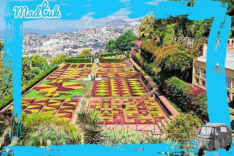 Madeira: Botanical Gardens + Old Town Tuk-Tuk Tour by MadTuk - Price check: is $44 good value?