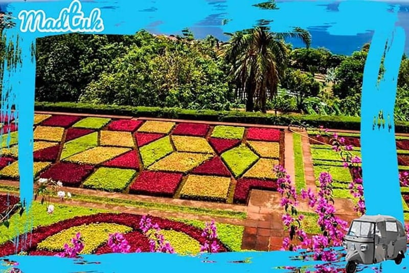 Madeira: Botanical Gardens + Old Town Tuk-Tuk Tour by MadTuk - Your best-use tips for the 1.5-hour plan