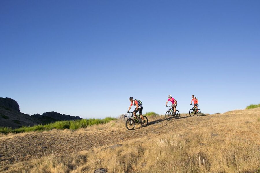 Madeira Botanical Levels Bike Tour – Scenic Trail Experience - Key Things I’d Put on Your Radar