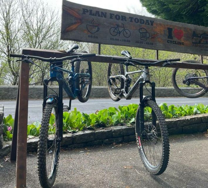 Madeira Botanical Levels Bike Tour – Scenic Trail Experience - Choosing Your Skill Level: Easy Trails vs Technical Single Track