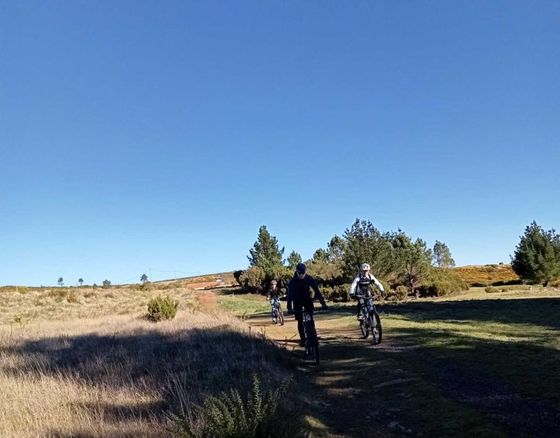 Madeira Botanical Levels Bike Tour – Scenic Trail Experience - The Bike Setup: Sentinel Alloy GX Full Suspension Makes a Difference