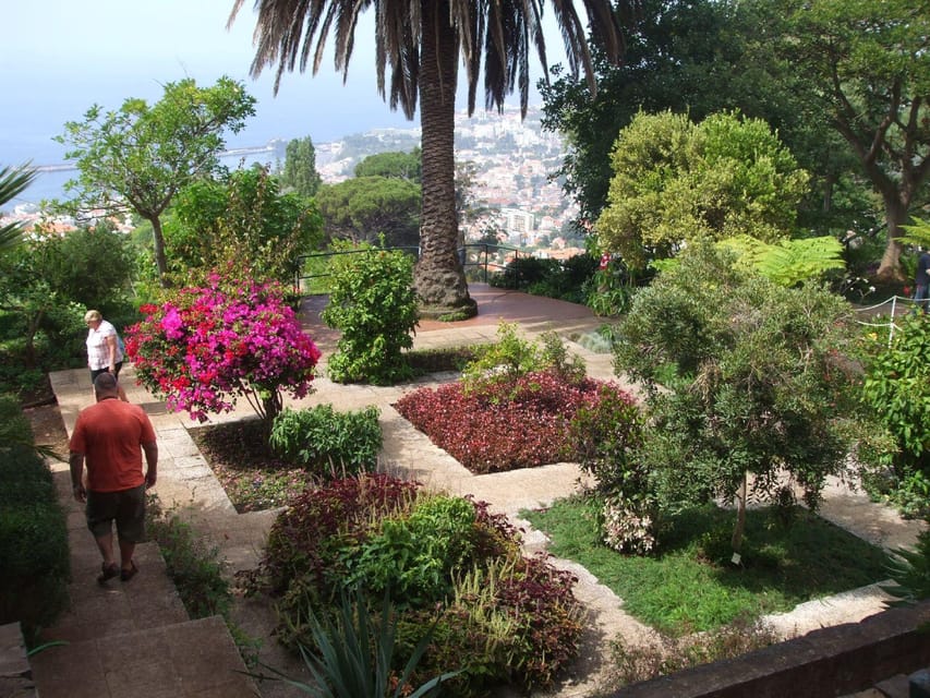 Madeira: Botanical, Monte Palace, and Palheiro Gardens - How the tuk-tuk route works in 4 hours from Funchal