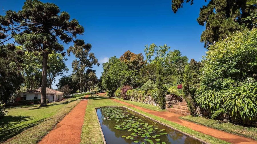 Madeira: Botanical, Monte Palace, and Palheiro Gardens - The guide role: plant facts, estate stories, and pacing (including John)