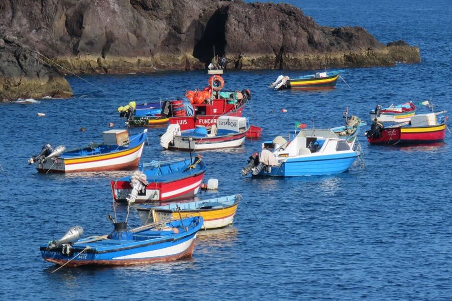 Madeira : Cabo Girao and Camara de Lobo 4WD half-day Tour - Price and what you actually get in 4 hours