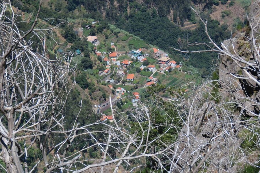Madeira : Cabo Girao and Camara de Lobo 4WD half-day Tour - Should you book this Cabo Girão and Câmara de Lobos 4WD half-day tour?