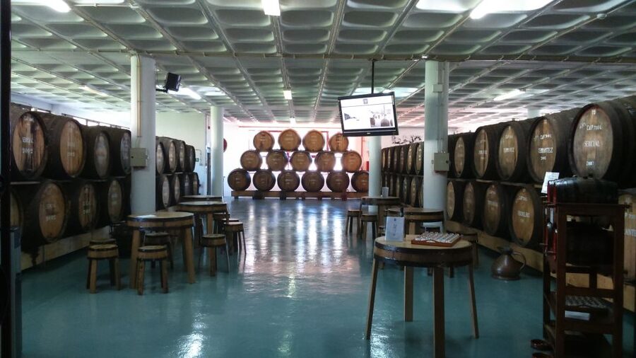 Madeira: Cabo Girao, Jeep Tour Adventure and Wine Tasting - Who This Tour Suits Best (And Who Should Skip It)